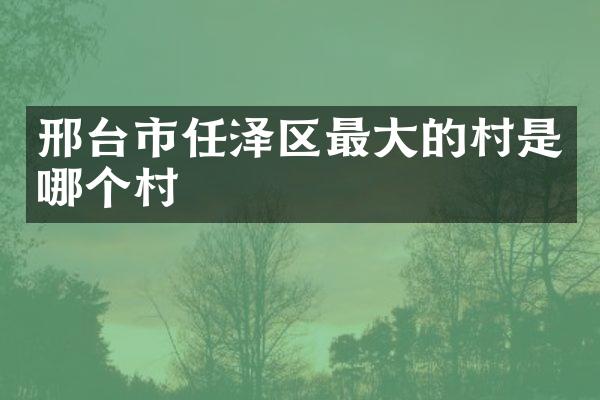 邢台市任泽区最大的村是哪个村