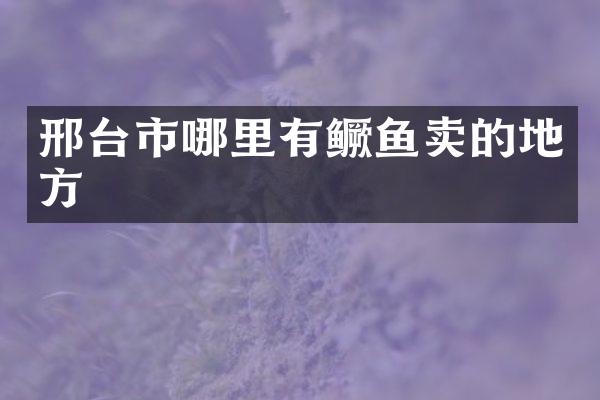 邢台市哪里有鳜鱼卖的地方