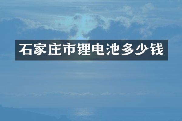 石家庄市锂电池多少钱