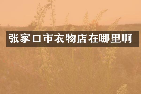 张家口市衣物店在哪里啊