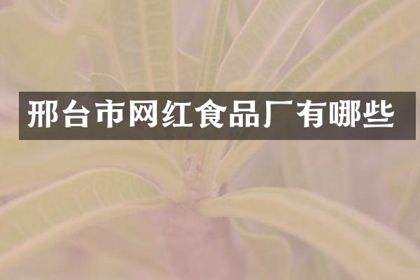 邢台市网红食品厂有哪些