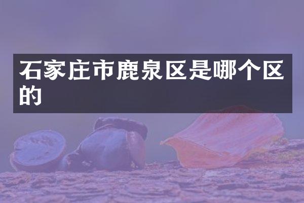 石家庄市鹿泉区是哪个区的