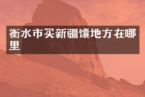 衡水市买新疆馕地方在哪里
