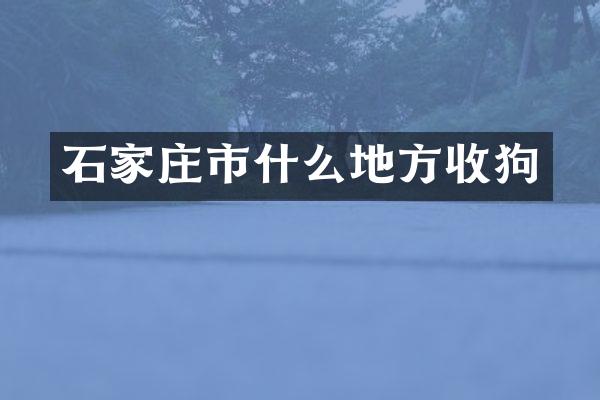石家庄市什么地方收狗