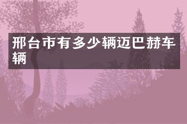 邢台市有多少辆迈巴赫车辆