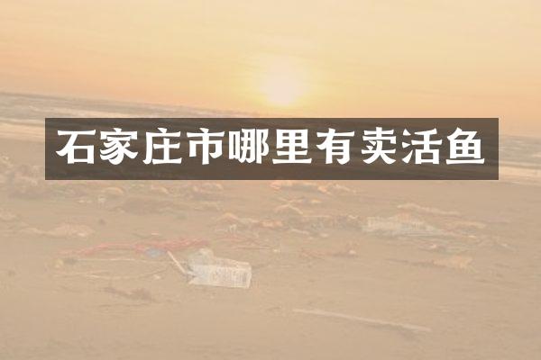 石家庄市哪里有卖活鱼