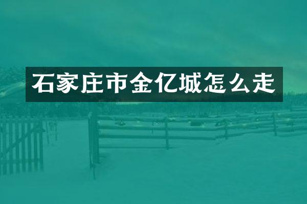 石家庄市金亿城怎么走