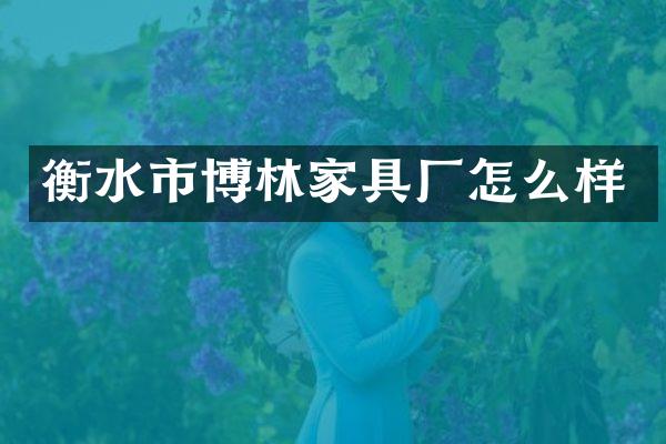 衡水市博林家具厂怎么样
