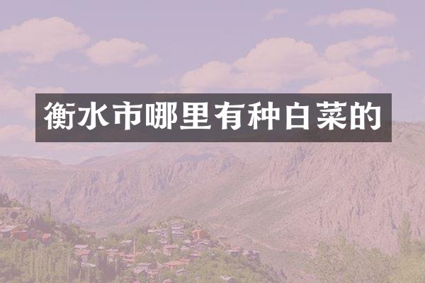 衡水市哪里有种白菜的