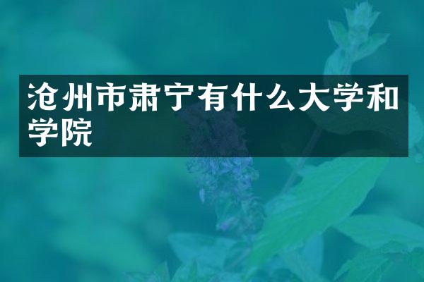 沧州市肃宁有什么大学和学院