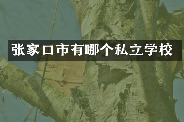 张家口市有哪个私立学校