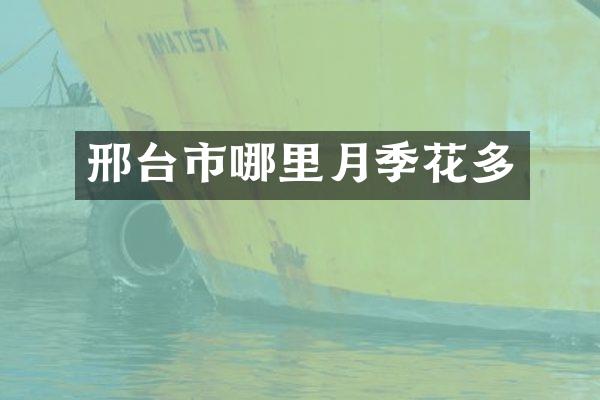 邢台市哪里月季花多