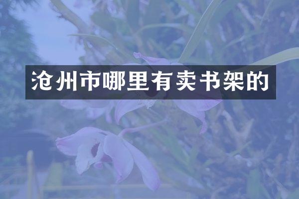 沧州市哪里有卖书架的