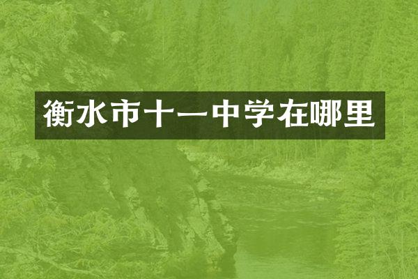 衡水市十一中学在哪里