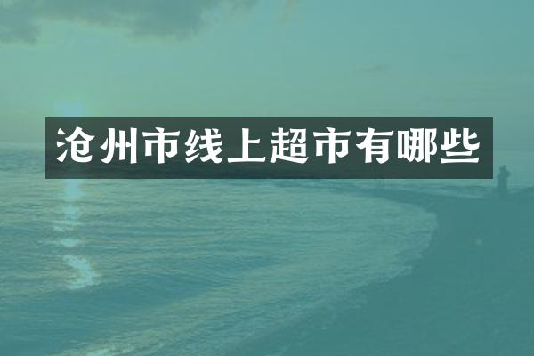 沧州市线上超市有哪些