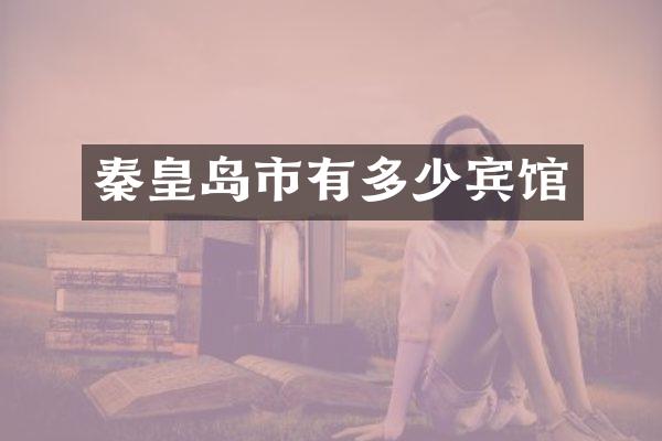 秦皇岛市有多少宾馆