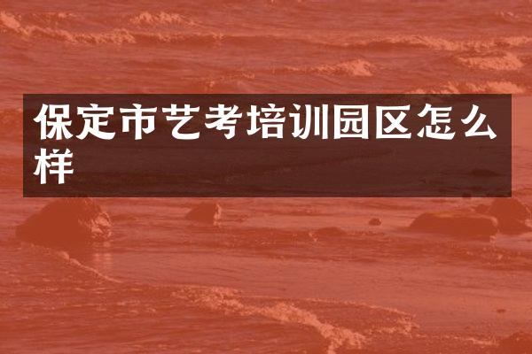 保定市艺考培训园区怎么样