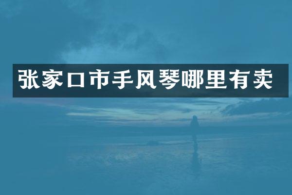 张家口市手风琴哪里有卖
