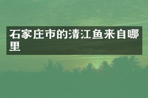 石家庄市的清江鱼来自哪里