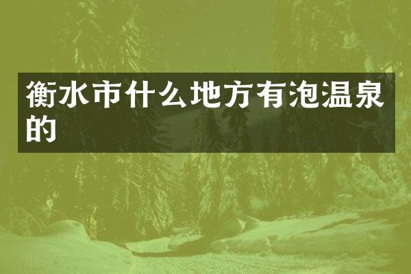 衡水市什么地方有泡温泉的