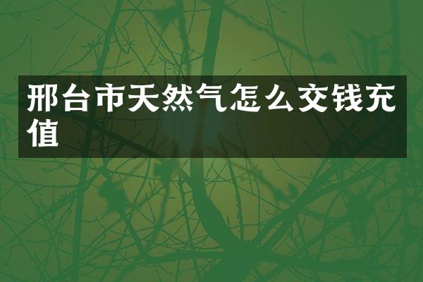 邢台市天然气怎么交钱充值