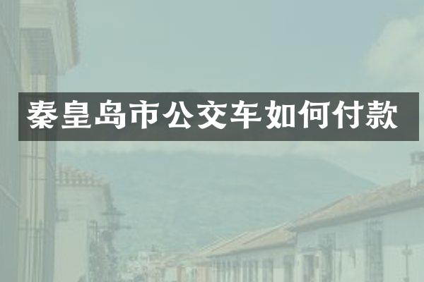 秦皇岛市公交车如何付款
