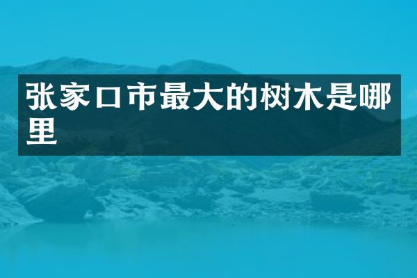 张家口市最大的树木是哪里