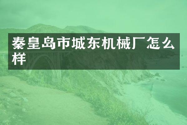 秦皇岛市城东机械厂怎么样