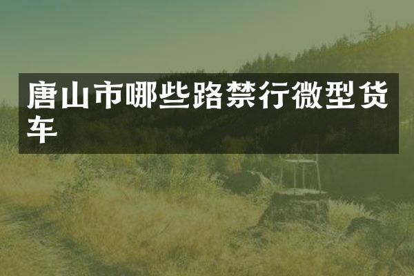 唐山市哪些路禁行微型货车