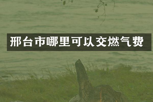 邢台市哪里可以交燃气费