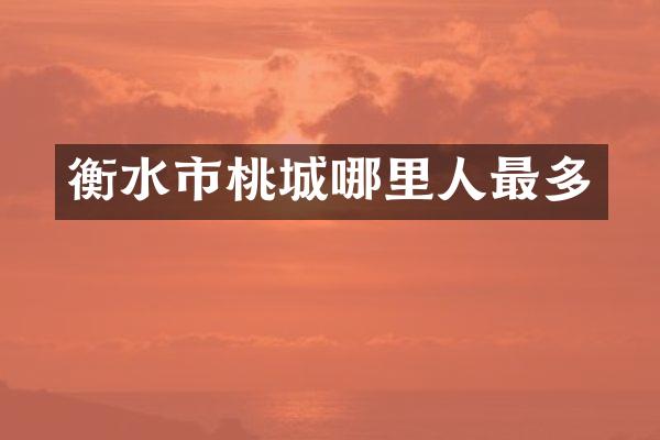衡水市桃城哪里人最多