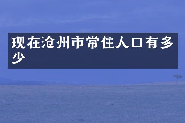 现在沧州市常住人口有多少