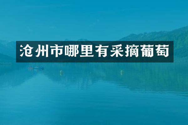 沧州市哪里有采摘葡萄