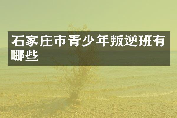 石家庄市青少年叛逆班有哪些