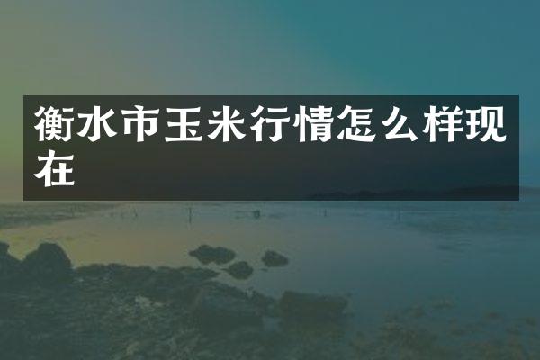 衡水市玉米行情怎么样现在