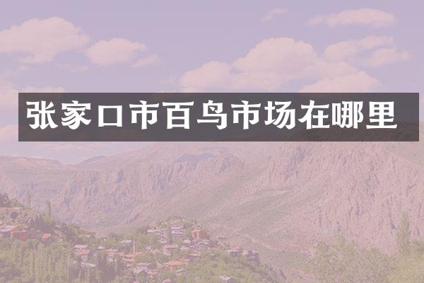 张家口市百鸟市场在哪里