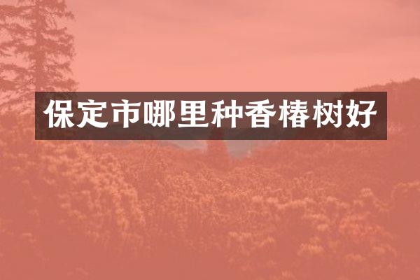 保定市哪里种香椿树好