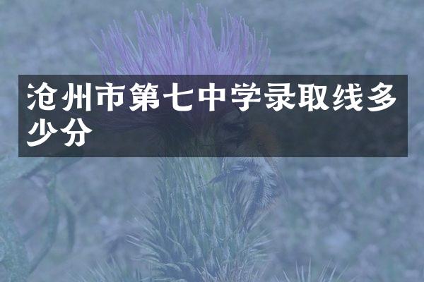 沧州市第七中学录取线多少分