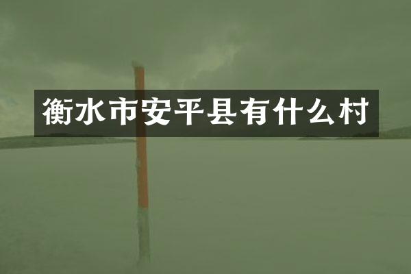 衡水市安平县有什么村