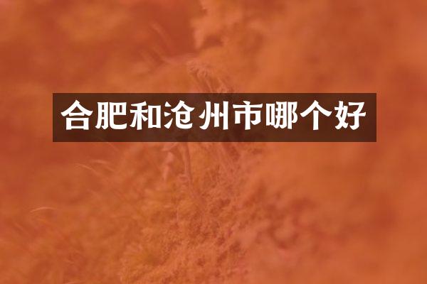 合肥和沧州市哪个好