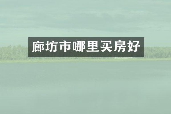 廊坊市哪里买房好
