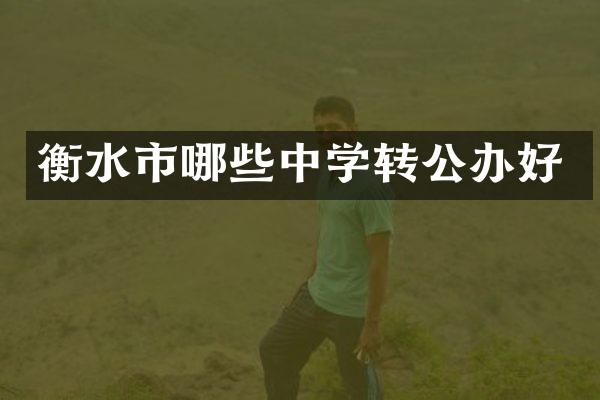 衡水市哪些中学转公办好