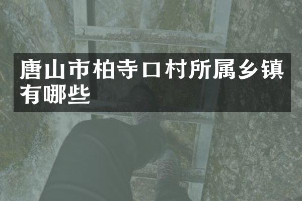 唐山市柏寺口村所属乡镇有哪些