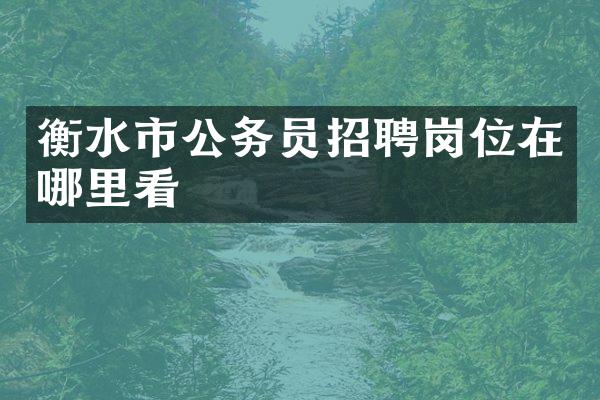 衡水市公务员招聘岗位在哪里看