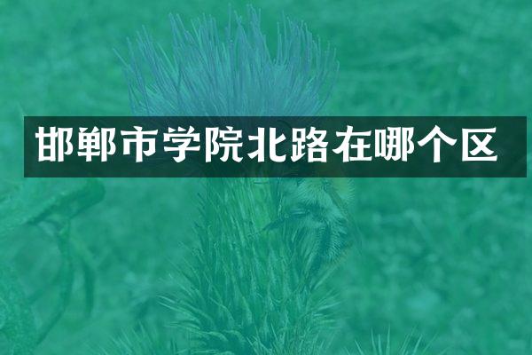 邯郸市学院北路在哪个区