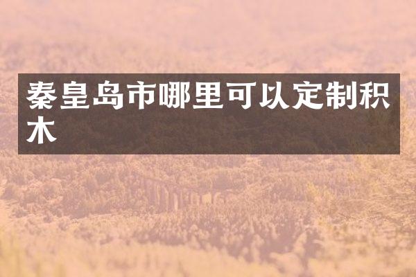 秦皇岛市哪里可以定制积木