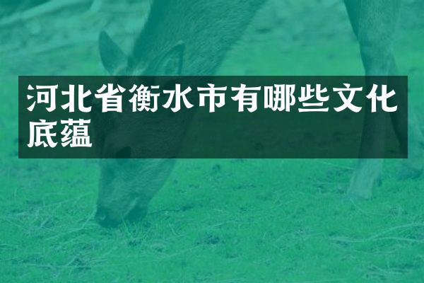 河北省衡水市有哪些文化底蕴