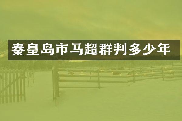 秦皇岛市马超群判多少年