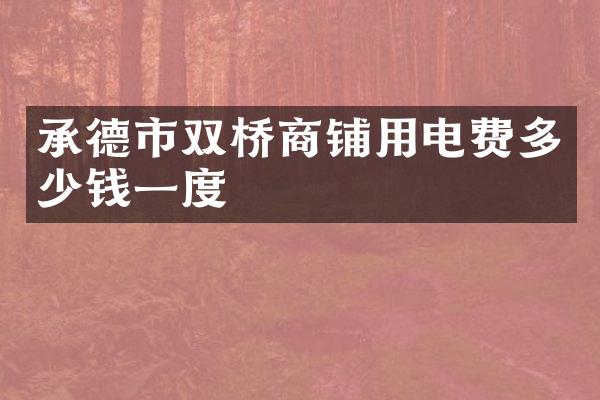 承德市双桥商铺用电费多少钱一度