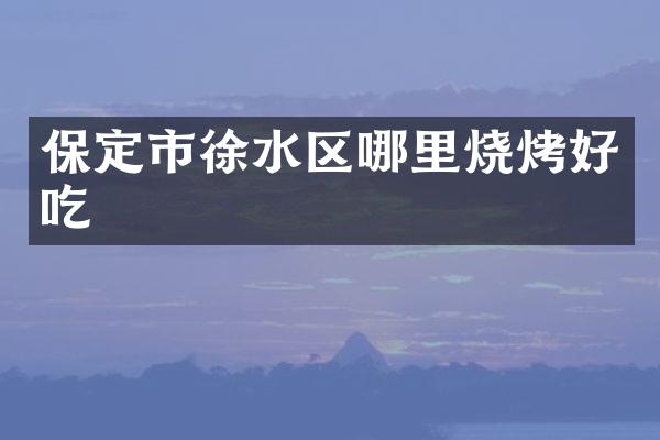 保定市徐水区哪里烧烤好吃